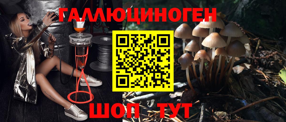 Галлюциногенные грибы Magic Shrooms  Псилоцибиновые грибы Magic Shrooms  Вход с VPN  Владикавказ 